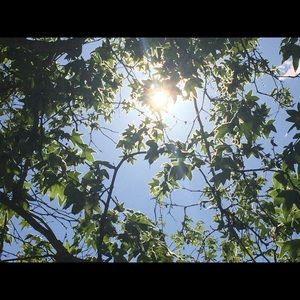 Meet your Posher, Marisol